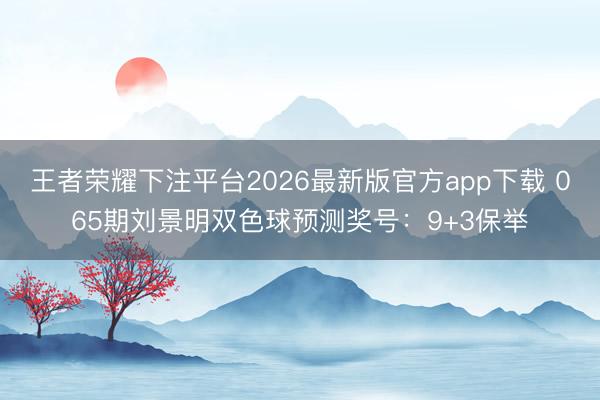 王者荣耀下注平台2026最新版官方app下载 065期刘景明双色球预测奖号：9+3保举