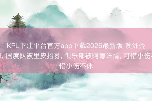 KPL下注平台官方app下载2026最新版 澳洲秃头强, 国度队被里皮招募, 俱乐部被阿德详情, 可惜小伤不休