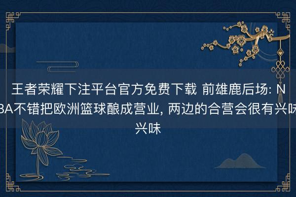 王者荣耀下注平台官方免费下载 前雄鹿后场: NBA不错把欧洲篮球酿成营业， 两边的合营会很有兴味