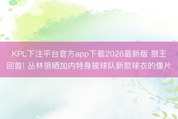 KPL下注平台官方app下载2026最新版 狼王回首! 丛林狼晒加内特身披球队新款球衣的像片